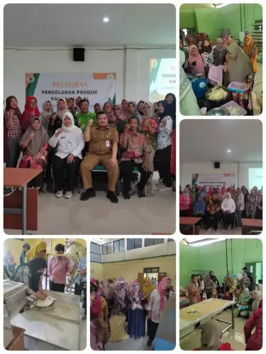 WhatsApp Image 2024-07-23 at 15.11.21